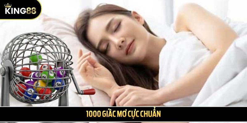 1000 giấc mơ cực chuẩn