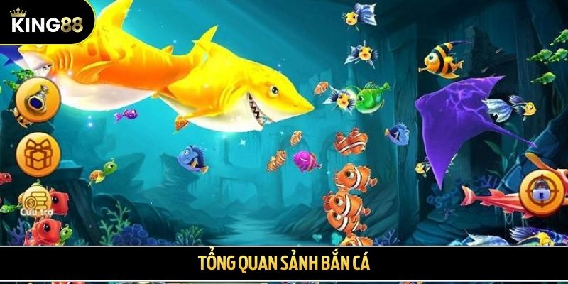 Tổng quan sảnh bắn cá
