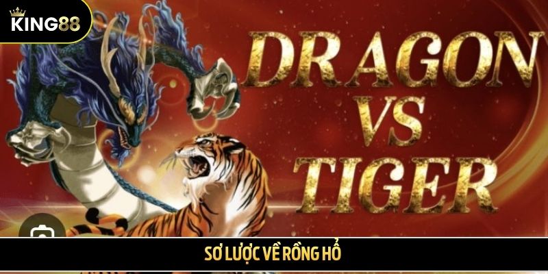 Sơ lược về Rồng Hổ 