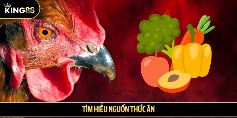 Tìm hiểu nguồn thức ăn