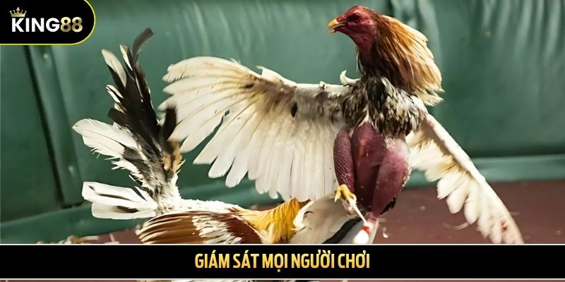 Giám sát mọi người chơi