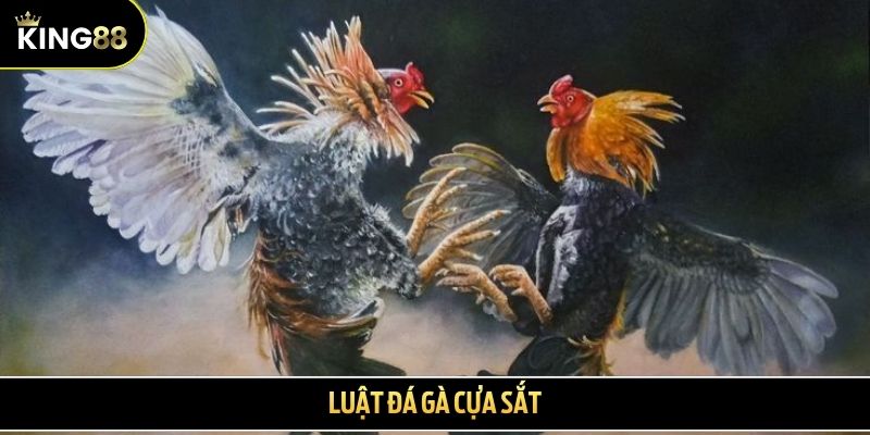 Luật đá gà cựa sắt - Các quy định cơ bản khi cá cược